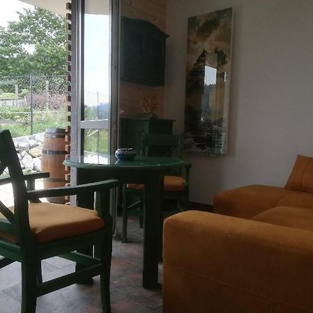Apartament Zielony Щирк Экстерьер фото